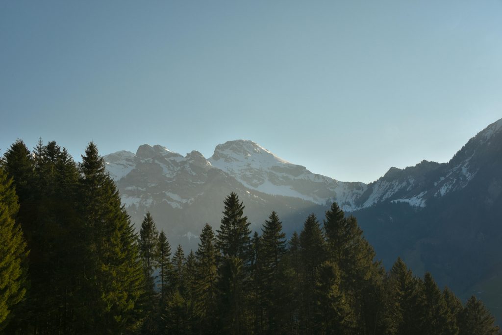 Das Bild zeigt eine ruhige Berglandschaft mit schneebedeckten Bergen im Hintergrund und dunklen Tannen im Vordergrund. Darüber liegt ein leicht abgedunkelter Filter. In der Mitte steht der Text „Gemeinsam Sport erleben“ mit einem grünen Button "Mitglied werden". Die Stimmung wirkt sportlich, modern und naturverbunden.